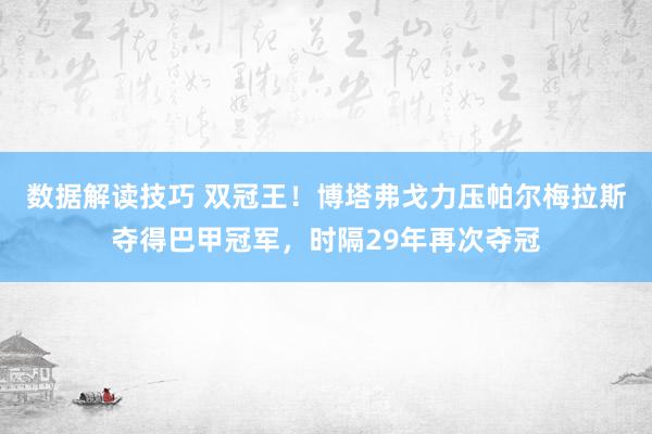 数据解读技巧 双冠王！博塔弗戈力压帕尔梅拉斯夺得巴甲冠军，时