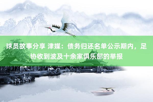 球员故事分享 津媒：债务归还名单公示期内，足协收到波及十余家俱乐部的举报