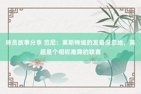 球员故事分享 范尼：莱斯特城的发奋没忽地，英超是个相称难踢的联赛